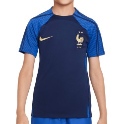 Camiseta Nike Francia de...