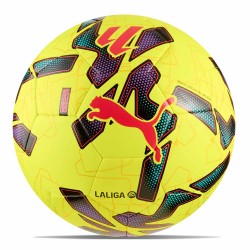 Balón de la Liga Puma...