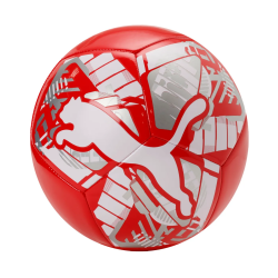Balon Puma Big Cat